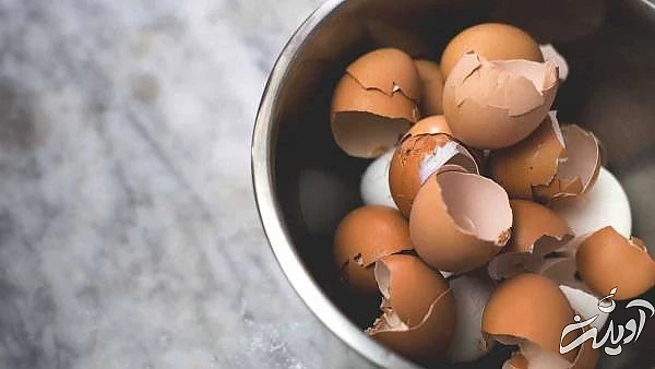 فواید بسیار پوست تخم مرغ 